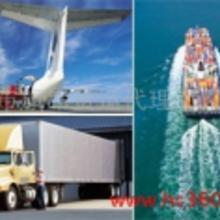 東莞海運貨代價格、批發(fā)與廠家資源解析 貨運代理一站式指南