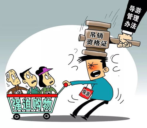 2018年1月1日起，黃石人生活質(zhì)量提升新規(guī)與上海網(wǎng)絡(luò)技術(shù)轉(zhuǎn)讓的聯(lián)動(dòng)影響